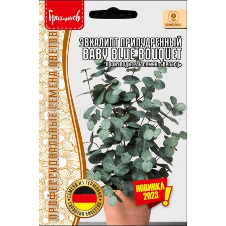 Редкие растения Эвкалипт Baby Blue Bouquet припудренный 3шт 