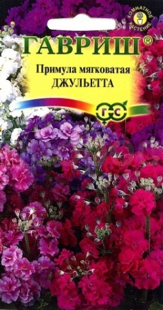 Примула Джульетта, мягковатая 10 шт 