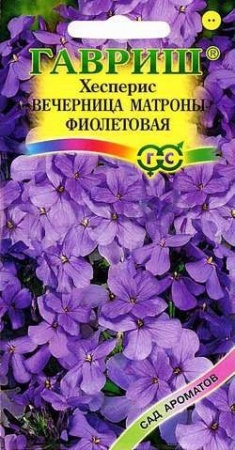 Хесперис Вечерница Матроны фиолетовая 0,1г