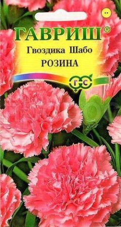 Гвоздика Шабо Розина 0,05г