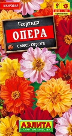 Георгина Опера, смесь сортов 7шт