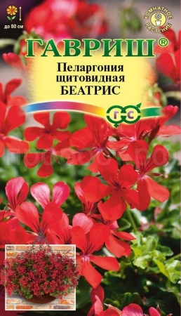 Пеларгония Беатрис, ампельная 3шт