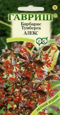 Барбарис Тунберга Алекс 0,2г