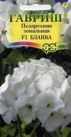 Пеларгония Бланка F1 зональная 4 шт