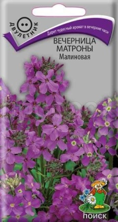 Вечерница Матроны Малиновая 0,3г