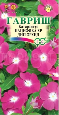 Катарантус Пацифика ХР Дип Орхид 5шт