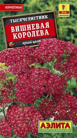 Тысячелистник Вишневая королева 