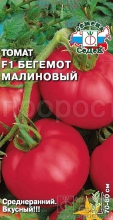 Томат Бегемот малиновый F1 0,05г