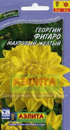 Георгина Фигаро Желтая махровая 7шт 