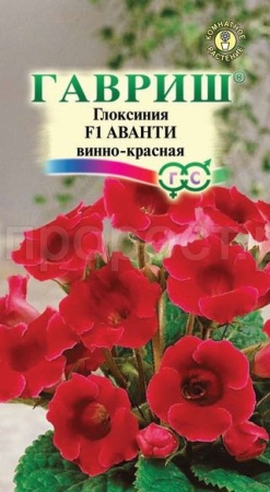 Глоксиния Аванти винно-красная 4шт