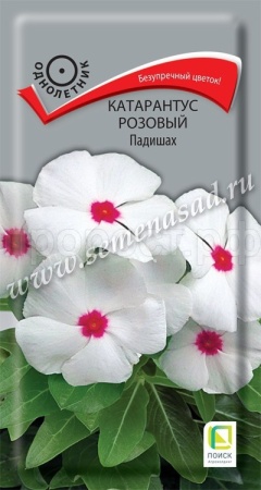 Катарантус розовый Падишах 0,1г
