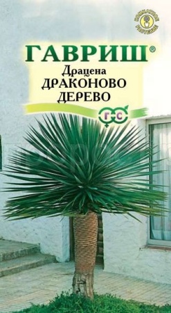 Драцена Драконово Дерево 3шт 