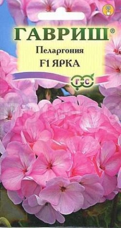 Пеларгония Ярка зональная 4 шт