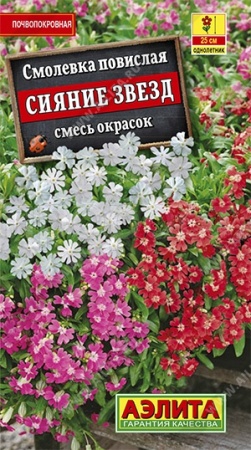 Смолевка Сияние звезд, смесь окрасок 0,1г