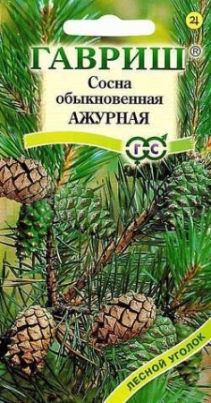 Сосна Ажурная Обыкновенная 0,2г