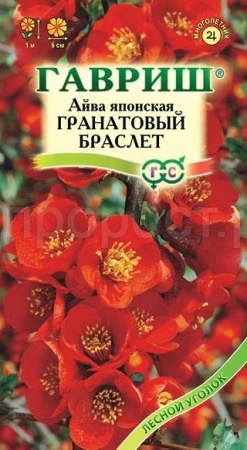 Айва японская Гранатовый браслет 0,3г 