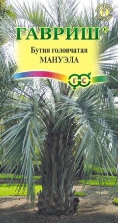 Бутия головчатая Мануэла 3 шт