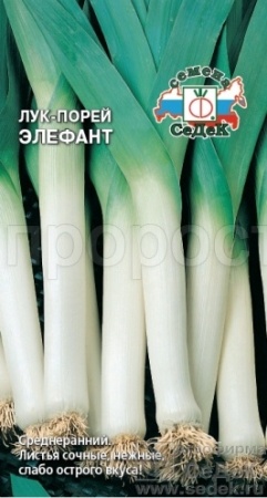 Лук порей Элефант МС 1г