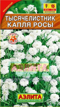 Тысячелистник Капля росы махров 