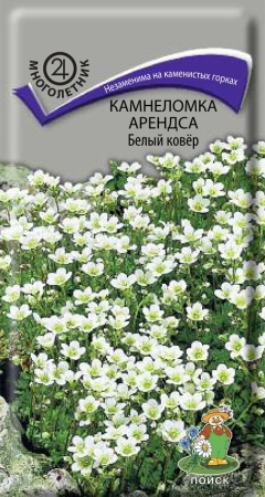 Камнеломка Арендса Белый ковёр 0,01г 