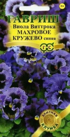 Виола Виттрока Махровое кружево синяя 4шт