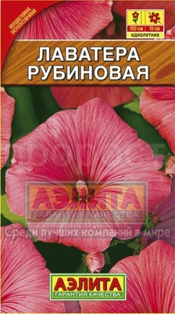 Лаватера Рубиновая