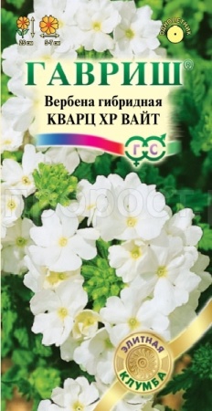 Вербена Кварц ХР Вайт 4шт 