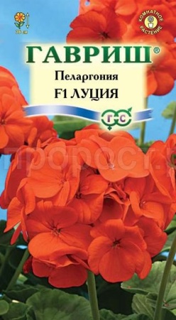 Пеларгония Луция зональная 4 шт