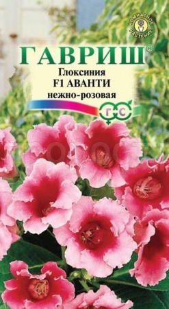 Глоксиния Аванти нежно-розовая 4шт
