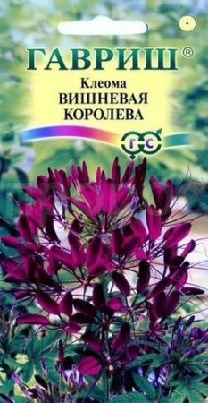 Клеома Вишневая королева 0,3г 