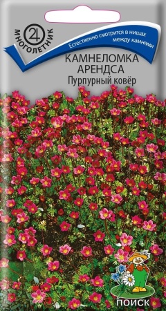 Камнеломка Арендса Пурпурный ковёр 0,01г