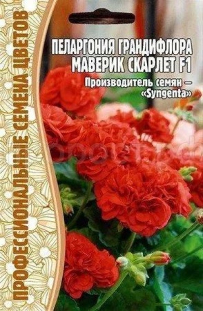 Пеларгония грандифлора Маверик Скарлет F1 3шт