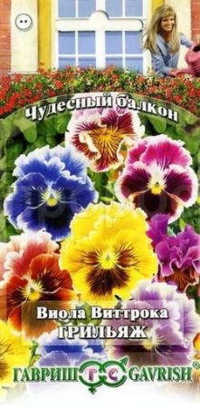 Виола Виттрока Грильяж 0,1 