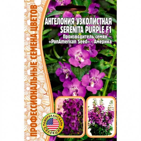 Ангелония узколистная Serenita Рurple F1 3шт
