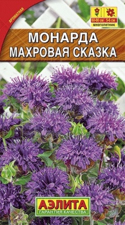 Монарда Махровая сказка