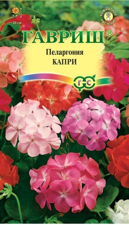 Пеларгония Капри F2 зональная 4 шт 