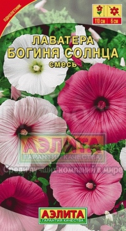 Лаватера Богиня солнца смесь