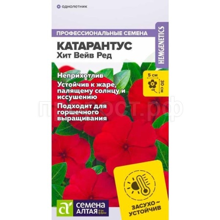 Катарантус Хит Вейв Ред 5шт