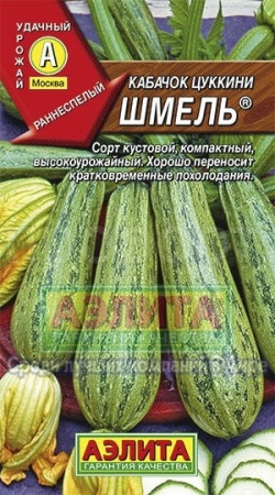 Кабачок цуккини Шмель 1г 