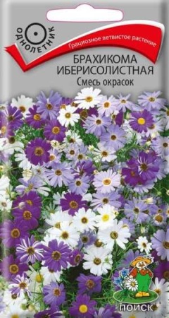 Брахикома иберисолистная Смесь окрасок 0,03г