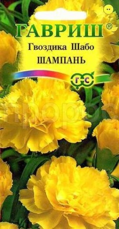 Гвоздика Шабо Шампань 0,05г