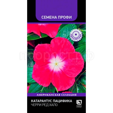 Катарантус Пацифика Черри Ред Хало 10шт