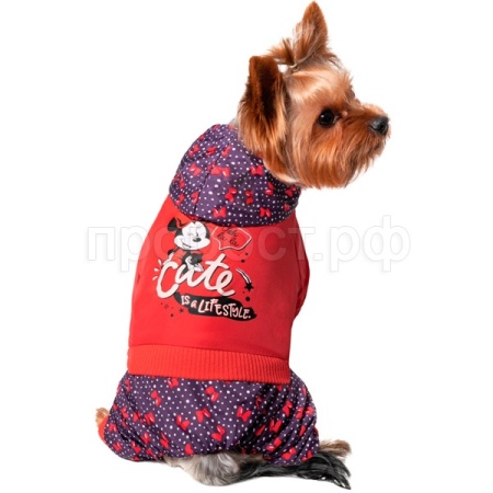 Комбинезон-дождевик демисезонный Disney Minnie Cute 25см S/12251215/Триол